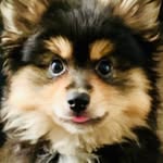 Walter Bean - @smallwaltbigworld - Instagram