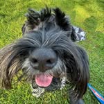 Walter Bean - @walterbeann - Instagram