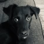 Walter Bean - @walterbeanboi - Instagram
