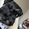 Walter Bean - @walter.bean3 - TikTok