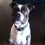 Walter Bean Johnson - @walter_beans - Instagram