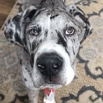 Walter Bean Wolfe - @walter_bean_wolfe - Instagram