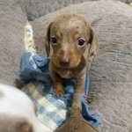 Walter the bean - @walterbean1320fanpage - Instagram