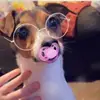 walter - @walter_bean - TikTok