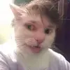 walterbean57 - @walter.bean0 - TikTok