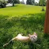 Walter.Bean.Wobbles - @walter.bean.wobbles - TikTok
