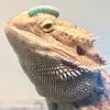 user9992077248686 - @walterbeardie - TikTok