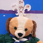 Walter Bear - @walterthescout - Instagram