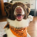 Walter Bear - @ohwalterbear - Instagram