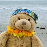 Walter Bear - @cheddar101 - Instagram