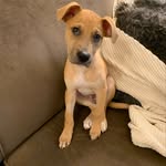 Walter Bear - @walterbear_ - Instagram
