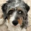 walter bear III - @walter.bear.iii - TikTok