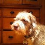 Walter Lapchick - @walter_bear - Instagram