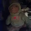 Walter The Bear - @walter.the.bear - TikTok
