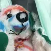 walter - @walterthebear - TikTok