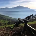 Walter Beer - @walter.beer.55 - Instagram