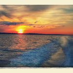 Walter Behm - @wbehm3 - Instagram