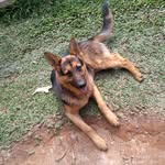 Walter Bello - @walterbello3 - Instagram