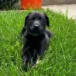 Walter James Bennington Rogers - @walterbennington1 - Instagram