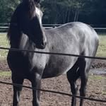 Walter bernardo francisco boca - @walterbernardofrancisco - Instagram