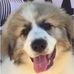 Walter Bialas - Facebook
