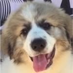 Walter Bialas - @walterbialas - Instagram
