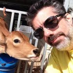 Walter Biscardi, jr. - @walterbiscardi - Instagram