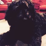 Walter Blankenship - @walter_blankenship - Instagram