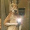 Walter Blandon - @walter.blandon4 - TikTok