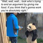 Walter Blood - @walterblood977 - Instagram