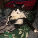 Walter bloom - @walterbloom - Instagram