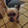 Walter Bohn - @walter.bohn - TikTok