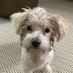 Walter Bonham - Facebook