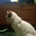 Walter Bonneau - Facebook