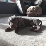Henry Walter Bowen - @henrywalterbowen - Instagram