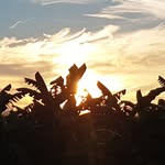 Walter Giesbrecht - @walter.giesbrecht - Instagram