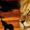 Walter Brackmann - @walter.brackmann - TikTok