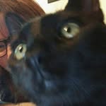 Walter Brock - @walter_the_cat2017 - Instagram