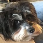 Walter - @walterbronson - Instagram