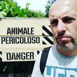Walter Bucci - @bucciwalter - Instagram