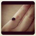 Walter Buckingham - @walterbuckingham - Instagram