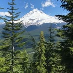 Walter Helm-Buckman - @walter.helmbuckman - Instagram