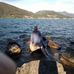 Walter Buc - Facebook