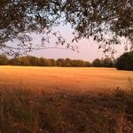 Walter Buggenhout - @buggenhoutwalter - Instagram