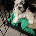 Walter Cabey - Facebook