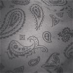 waltercaffey - @waltercaffey9 - Instagram