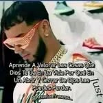 Walter Caicedo - @caicedowalter2022 - Instagram