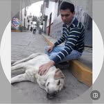 Walter Calle Arana - @walter_calle07 - Instagram
