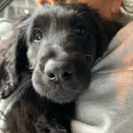 Walter Calvert - @waltercalv - Instagram