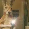 Walter Campos - @walter.campos59 - TikTok